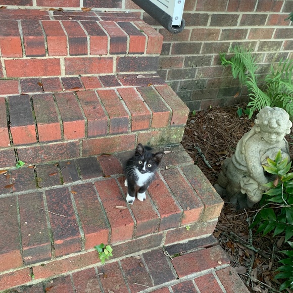 😃Hello there & Welcome...... - Picture 13 of 15